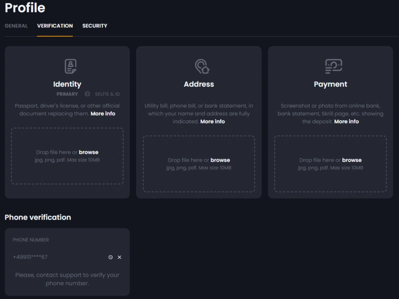 bitkingz verification page